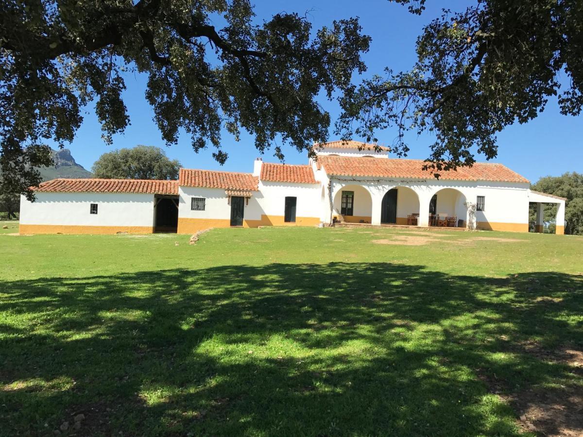 Casa Rural De La Finca Sierra Grande Hornachos 外观 照片