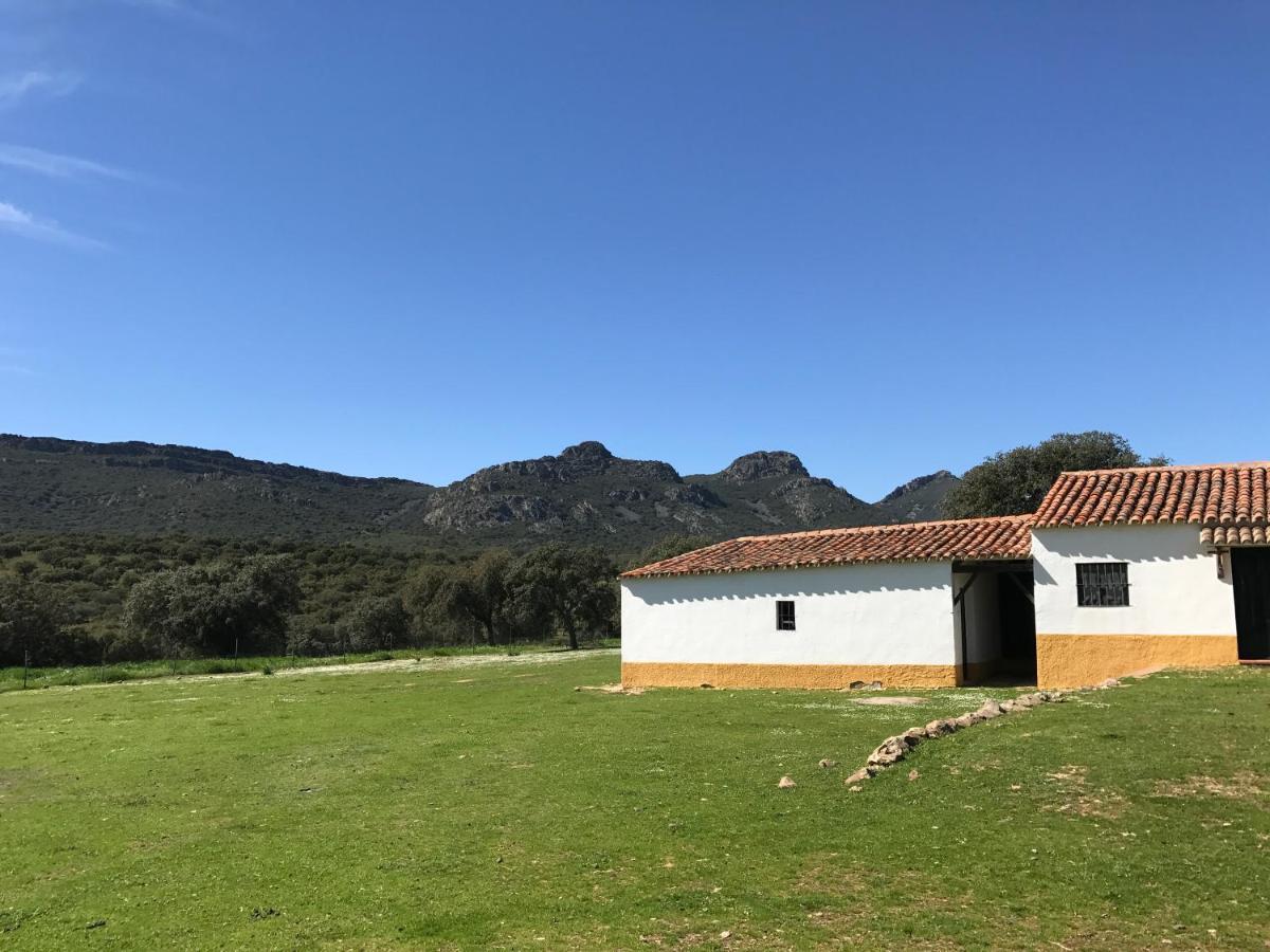Casa Rural De La Finca Sierra Grande Hornachos 外观 照片
