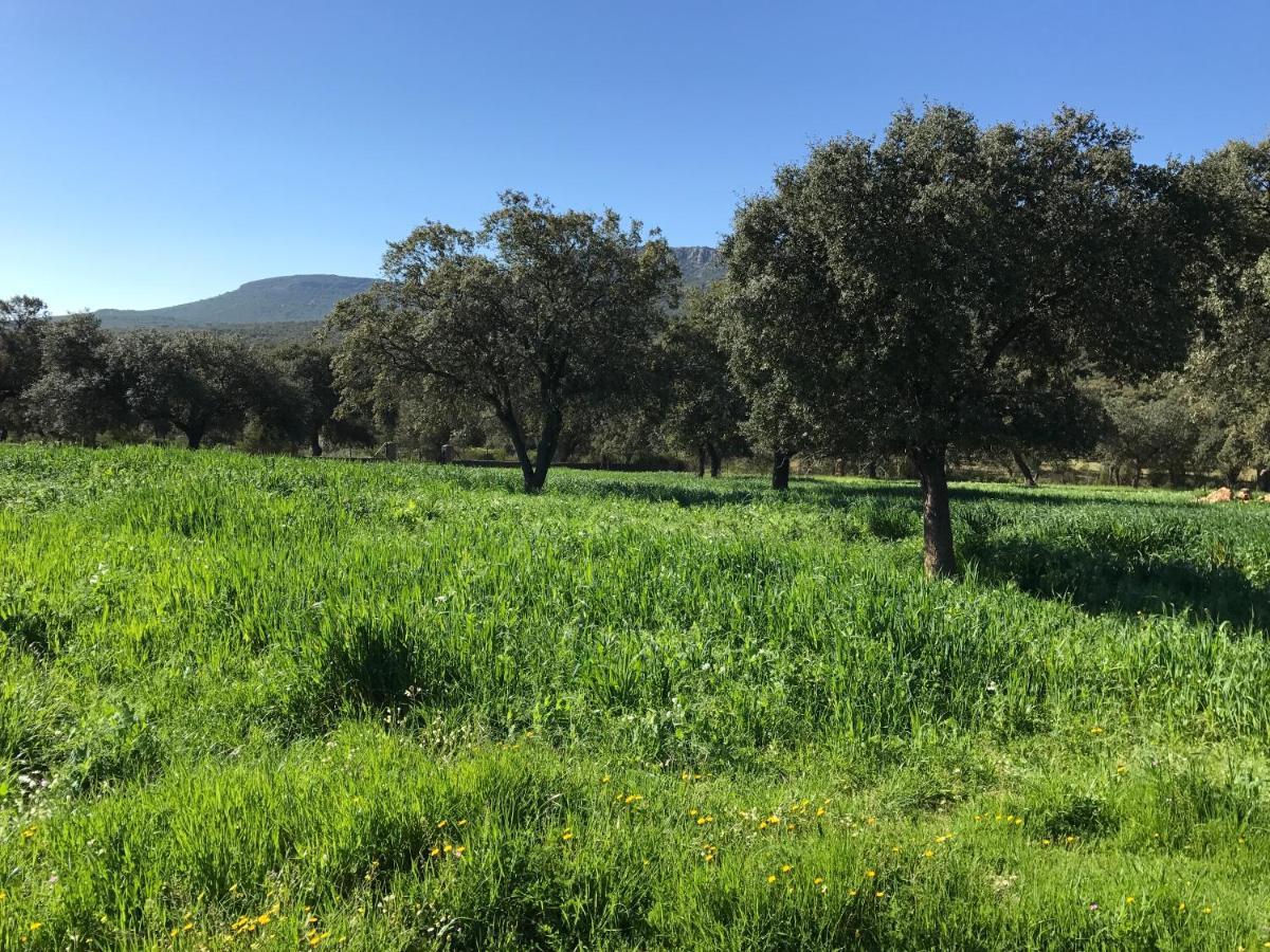 Casa Rural De La Finca Sierra Grande Hornachos 外观 照片